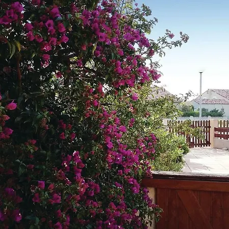 Holiday home Gorgeous In La Nouvelle With Wifi Port-la-Nouvelle